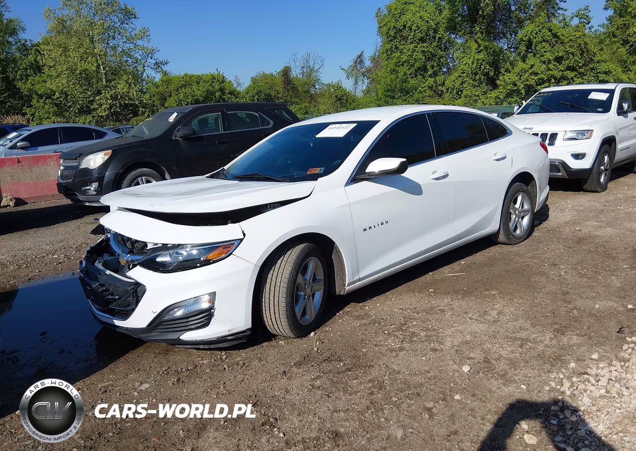 2024 Chevrolet Malibu Fwd 1Fl VIN:1G1ZC5ST7RF148572 - 2