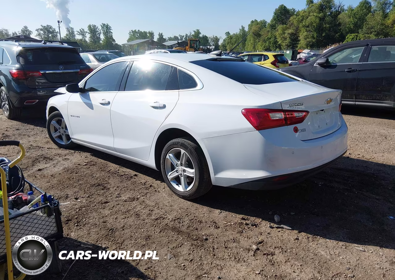 2024 Chevrolet Malibu Fwd 1Fl VIN:1G1ZC5ST7RF148572 - 3