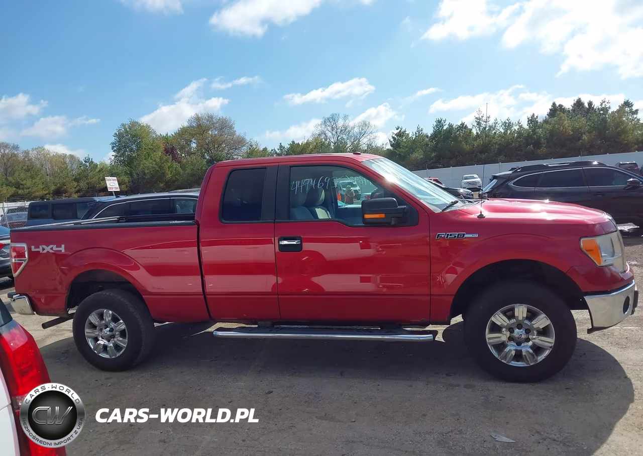 2010 Ford F-150 Fx4-Lariat-Xl-Xlt VIN:1FTFX1EV5AFB61328 - 12