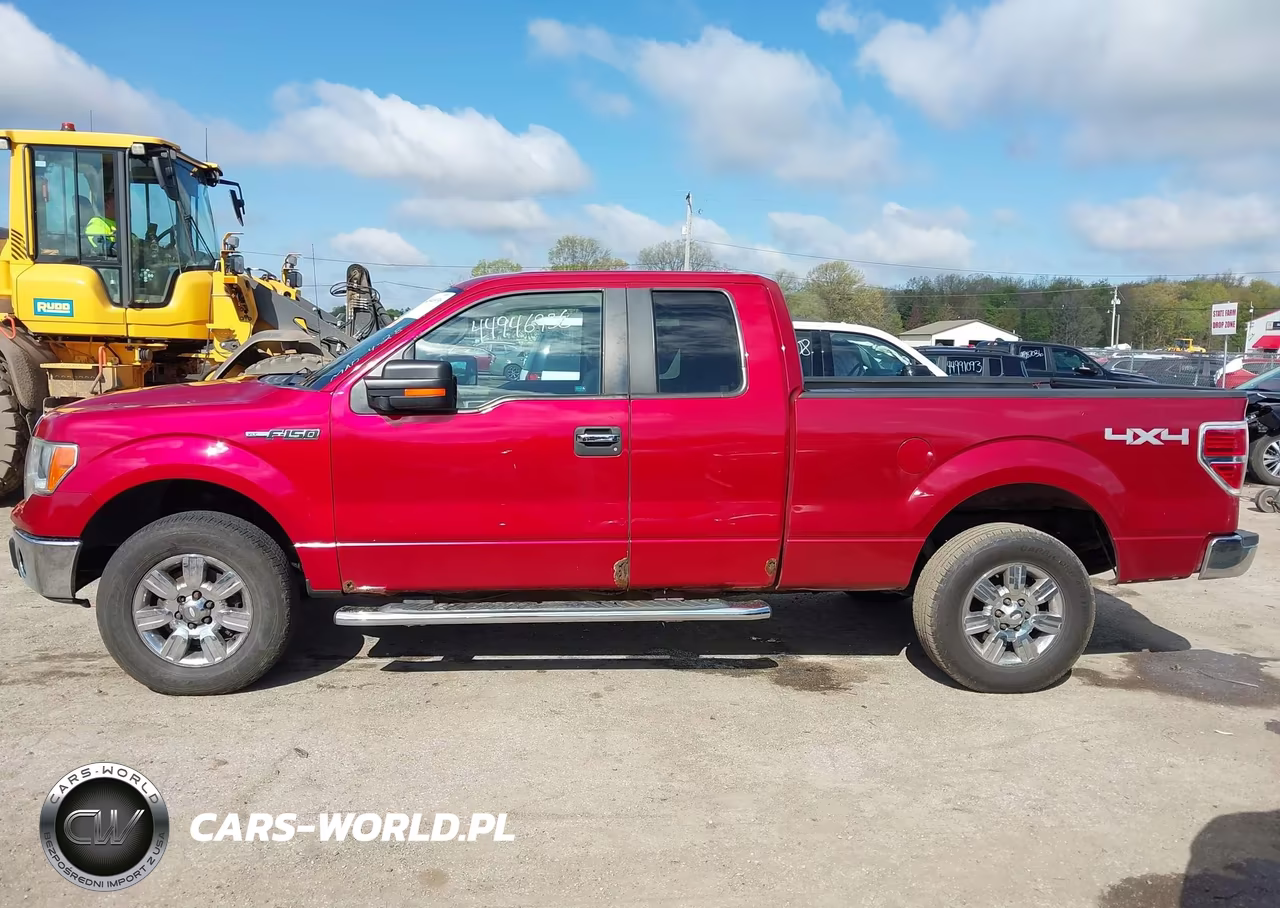 2010 Ford F-150 Fx4-Lariat-Xl-Xlt VIN:1FTFX1EV5AFB61328 - 13