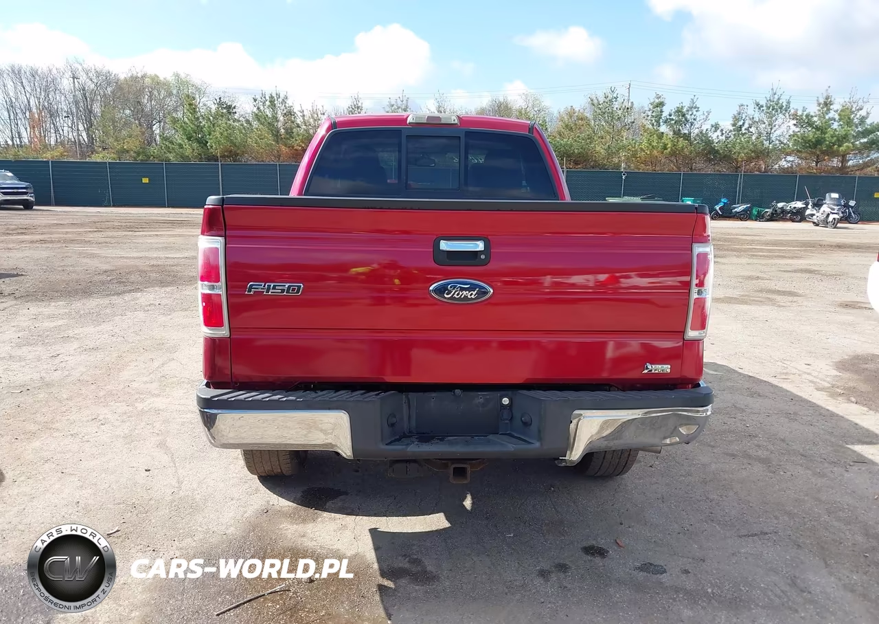 2010 Ford F-150 Fx4-Lariat-Xl-Xlt VIN:1FTFX1EV5AFB61328 - 15