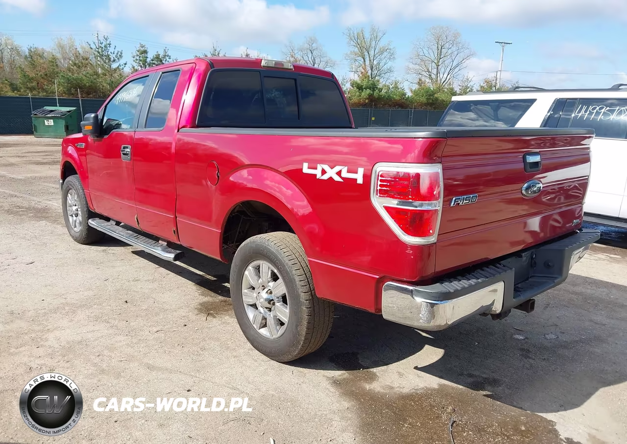 2010 Ford F-150 Fx4-Lariat-Xl-Xlt VIN:1FTFX1EV5AFB61328 - 3