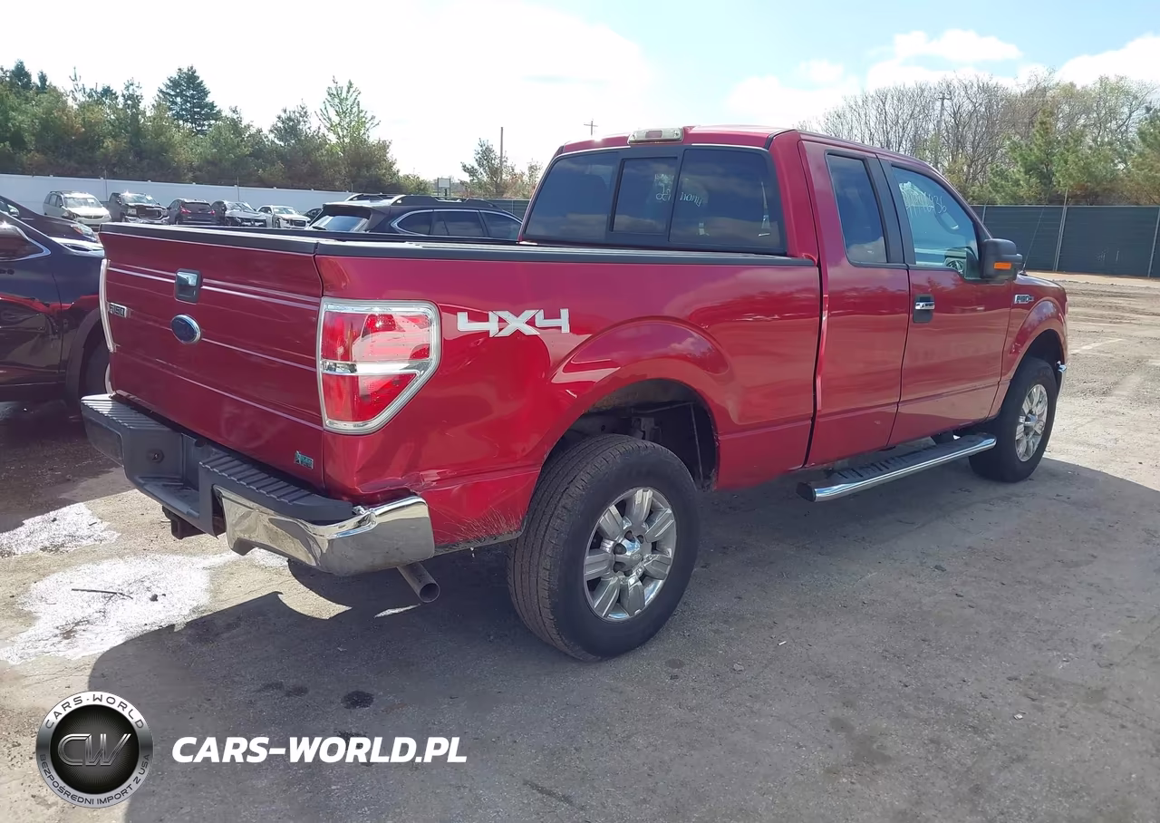 2010 Ford F-150 Fx4-Lariat-Xl-Xlt VIN:1FTFX1EV5AFB61328 - 4