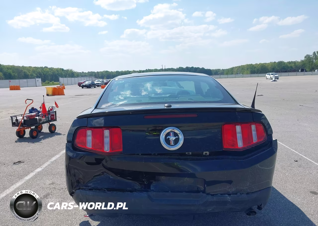 2010 Ford Mustang V6-V6 Premium VIN:1ZVBP8AN1A5173525 - 17