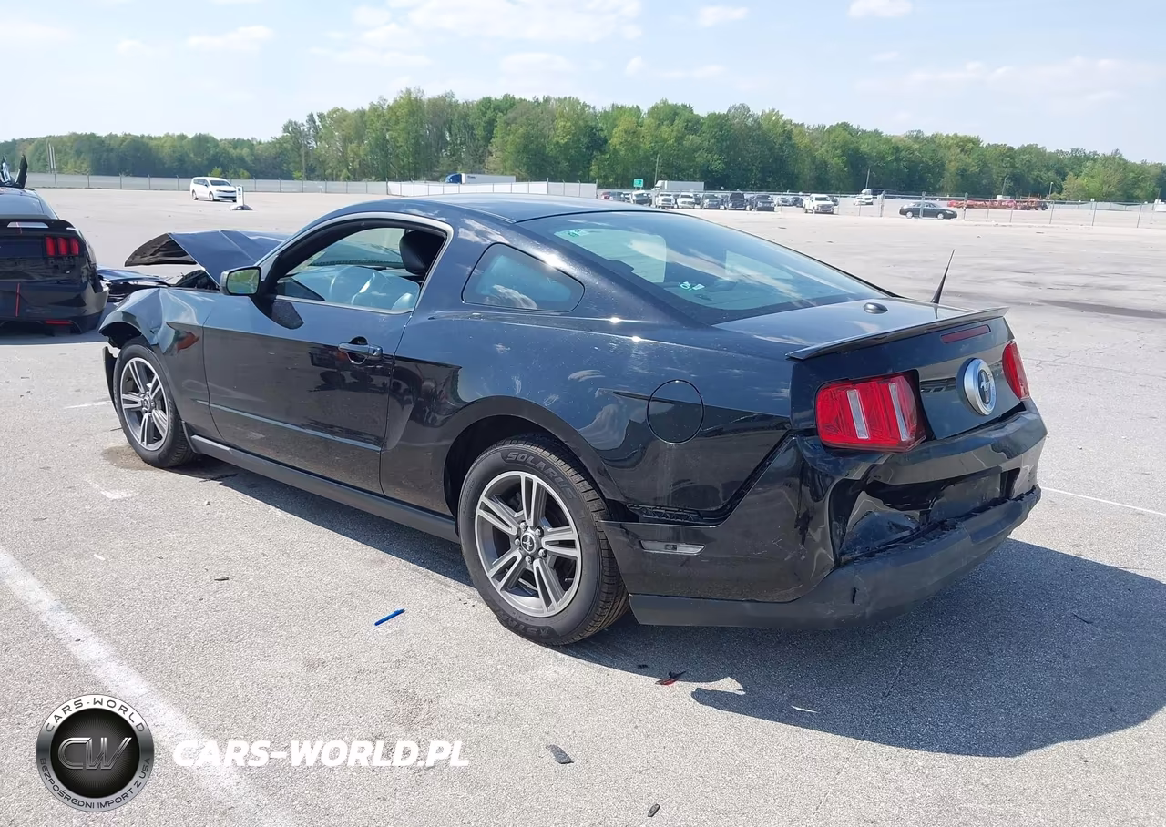 2010 Ford Mustang V6-V6 Premium VIN:1ZVBP8AN1A5173525 - 3