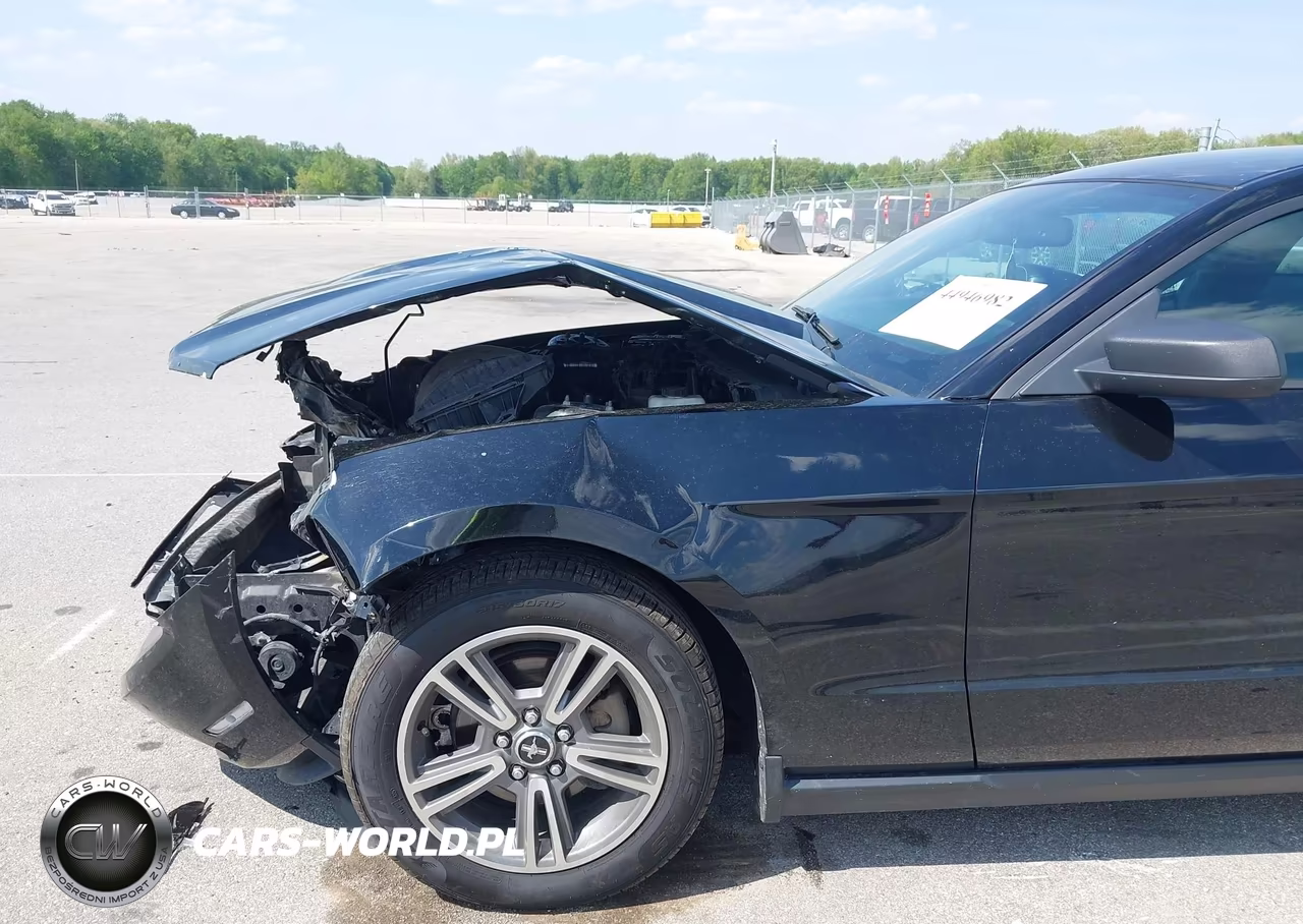 2010 Ford Mustang V6-V6 Premium VIN:1ZVBP8AN1A5173525 - 6