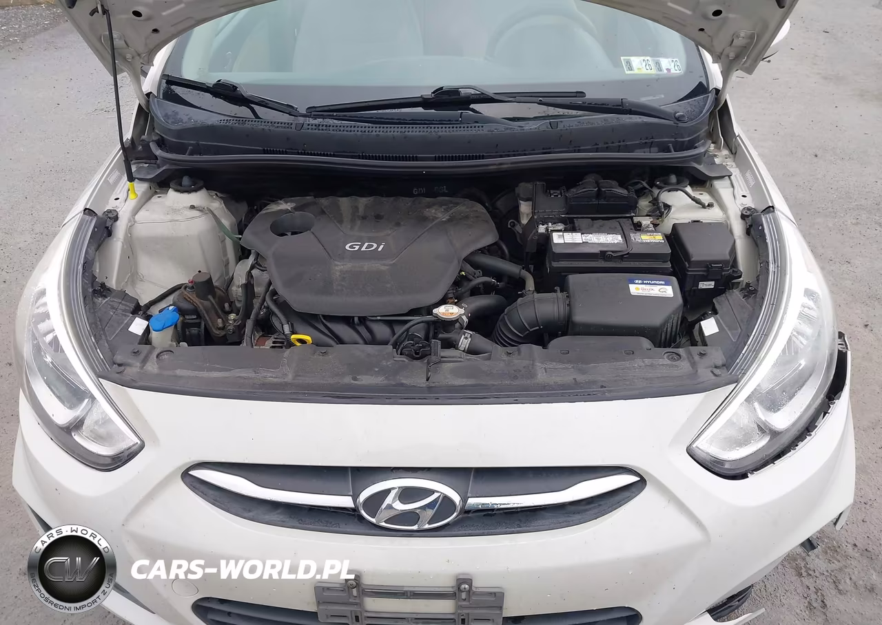 2016 Hyundai Accent Se VIN:KMHCT4AE7GU982341 - 10