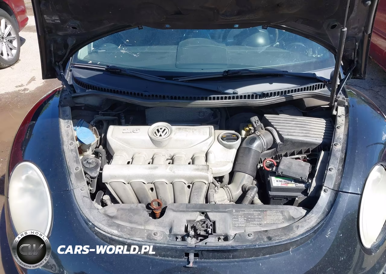 2010 Volkswagen New Beetle 2.5L Final Edition VIN:3VWPW3AG0AM021100 - 10