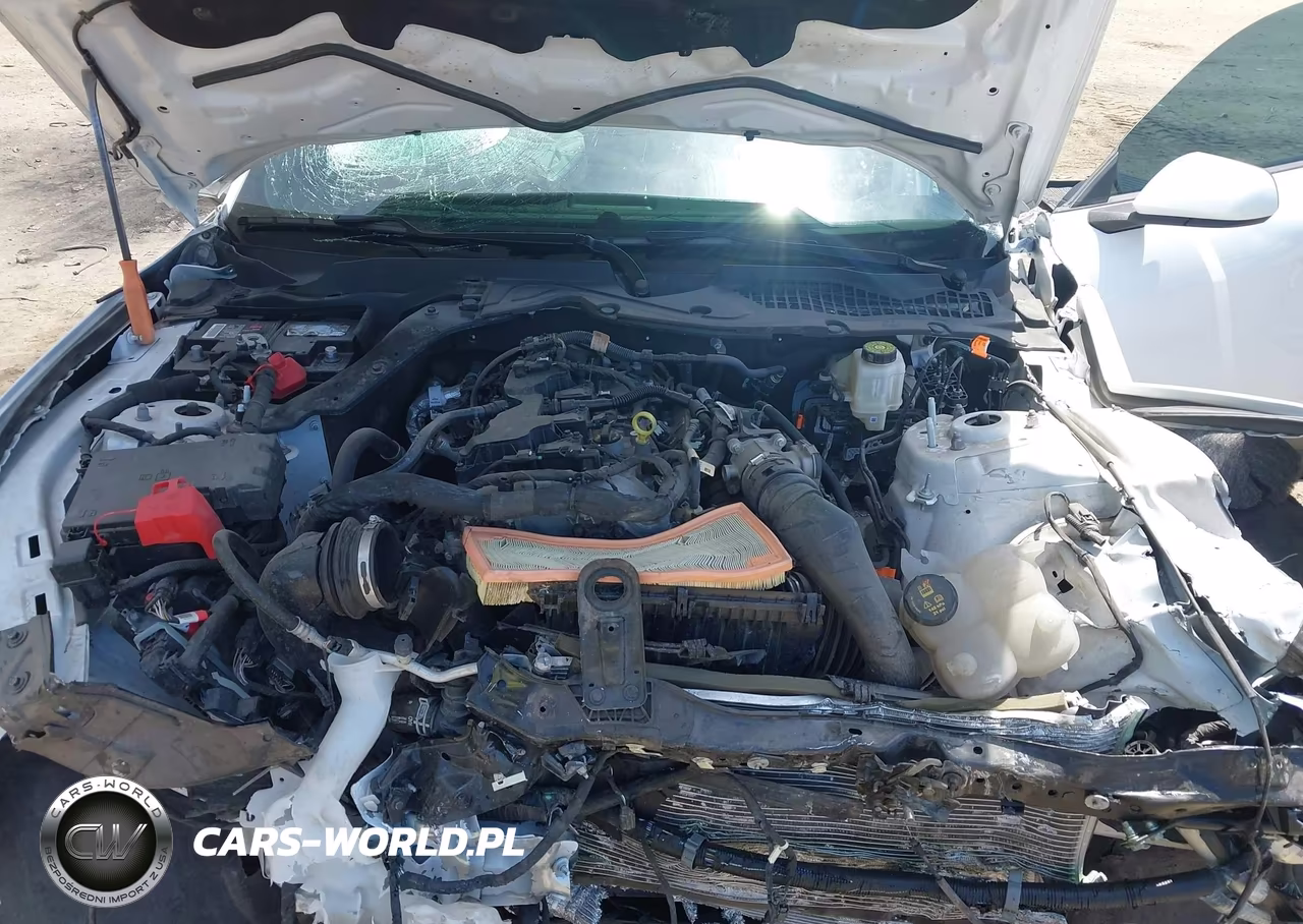 2024 Ford Mustang Ecoboost Fastback VIN:1FA6P8TH3R5122749 - 10