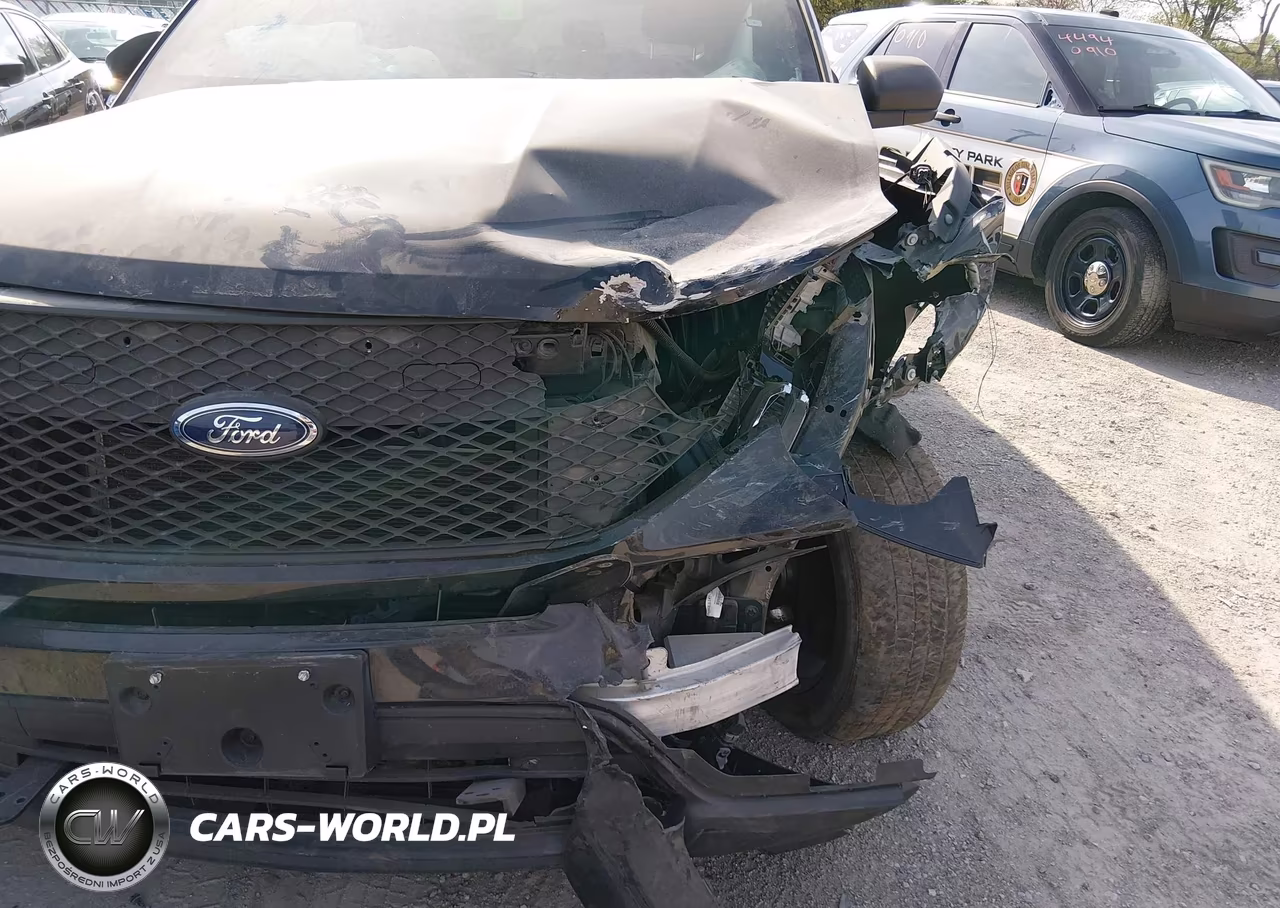 2020 Ford Police Interceptor Utility VIN:1FM5K8AB7LGD01466 - 17