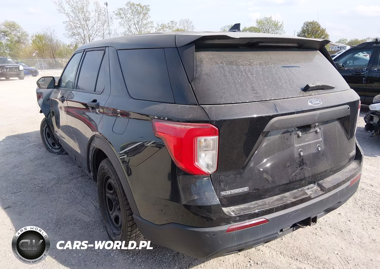 2020 Ford Police Interceptor Utility VIN:1FM5K8AB7LGD01466 - 3