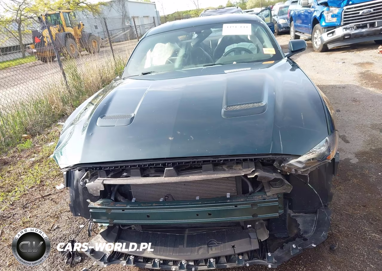 2019 Ford Mustang Bullitt VIN:1FA6P8K00K5501600 - 12