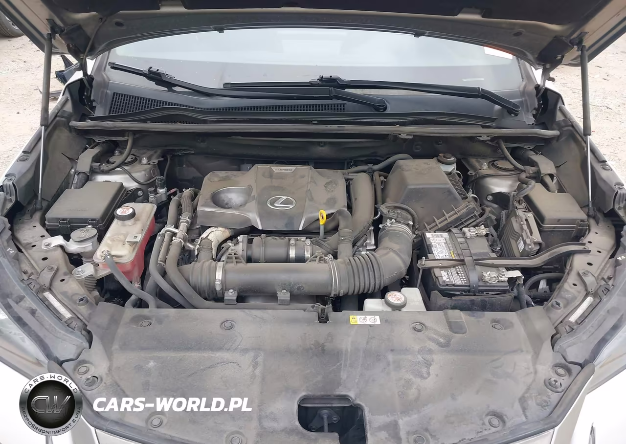 2021 Lexus Nx 300 F Sport VIN:JTJSARBZ6M2181876 - 10