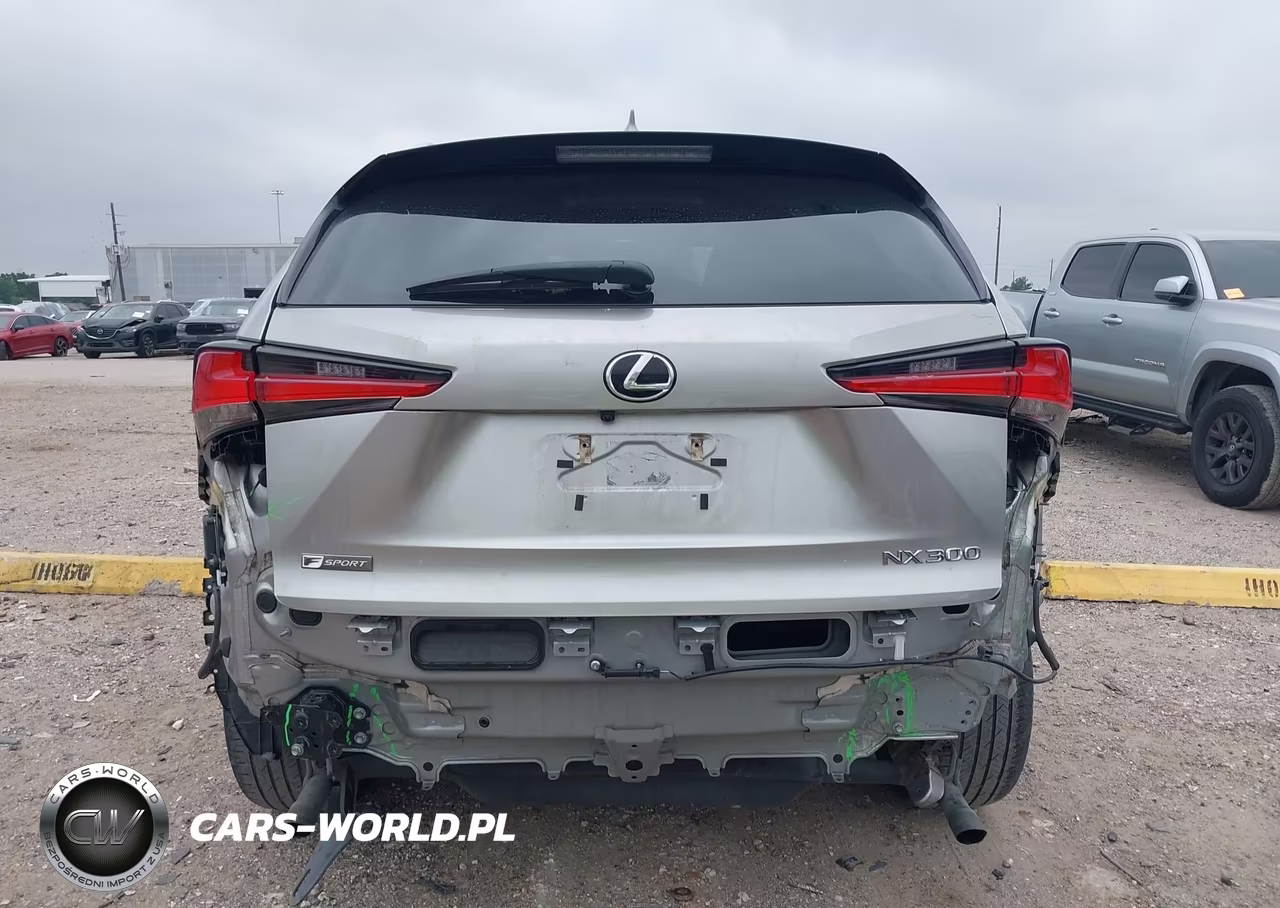 2021 Lexus Nx 300 F Sport VIN:JTJSARBZ6M2181876 - 17