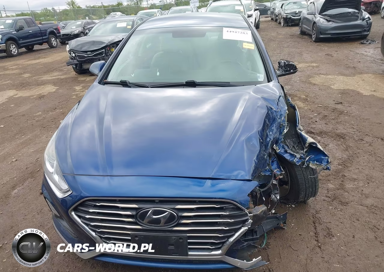 2019 Hyundai Sonata Se VIN:5NPE24AF5KH810725 - 12
