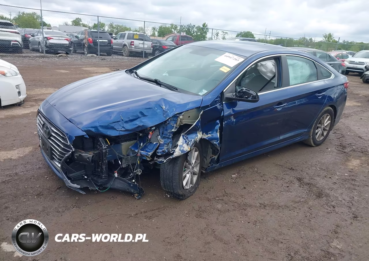 2019 Hyundai Sonata Se VIN:5NPE24AF5KH810725 - 2