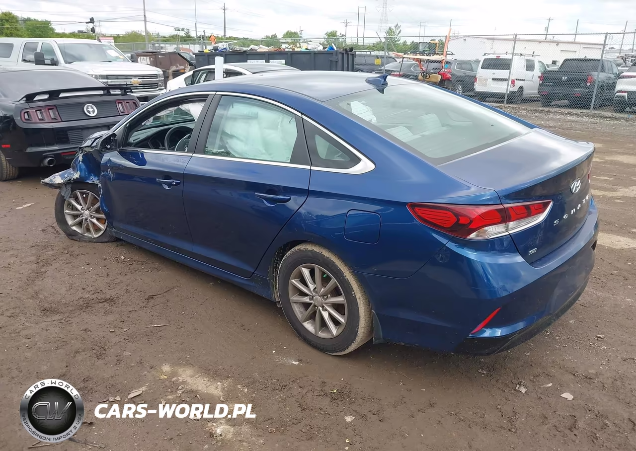 2019 Hyundai Sonata Se VIN:5NPE24AF5KH810725 - 3