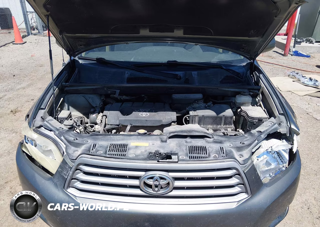 2009 Toyota Highlander VIN:JTEDA41A592007889 - 10
