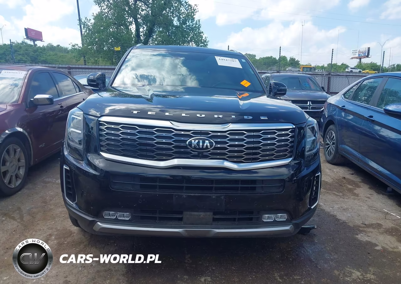 2020 Kia Telluride Sx VIN:5XYP54HC3LG033143 - 12