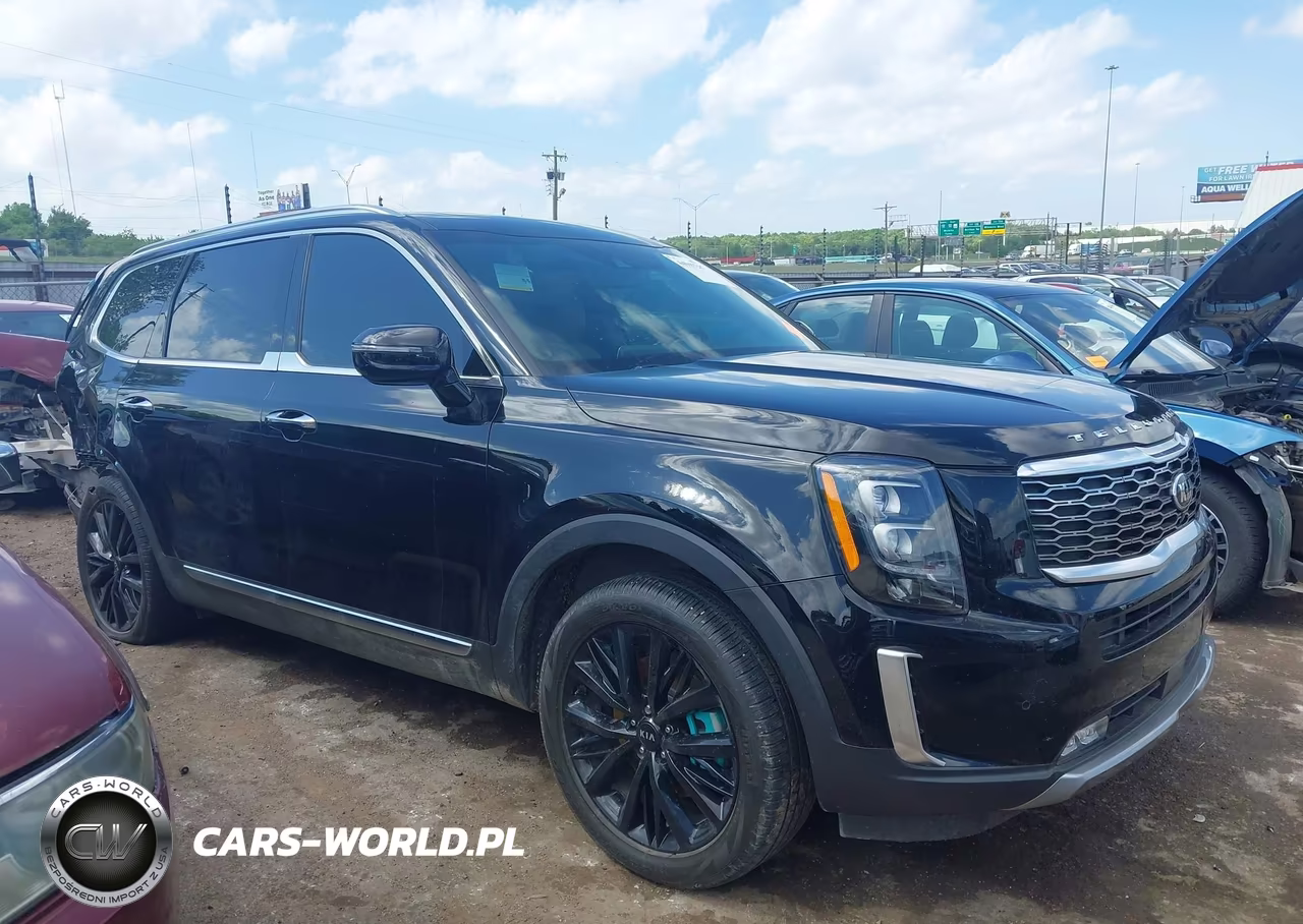2020 Kia Telluride Sx VIN:5XYP54HC3LG033143 - 13