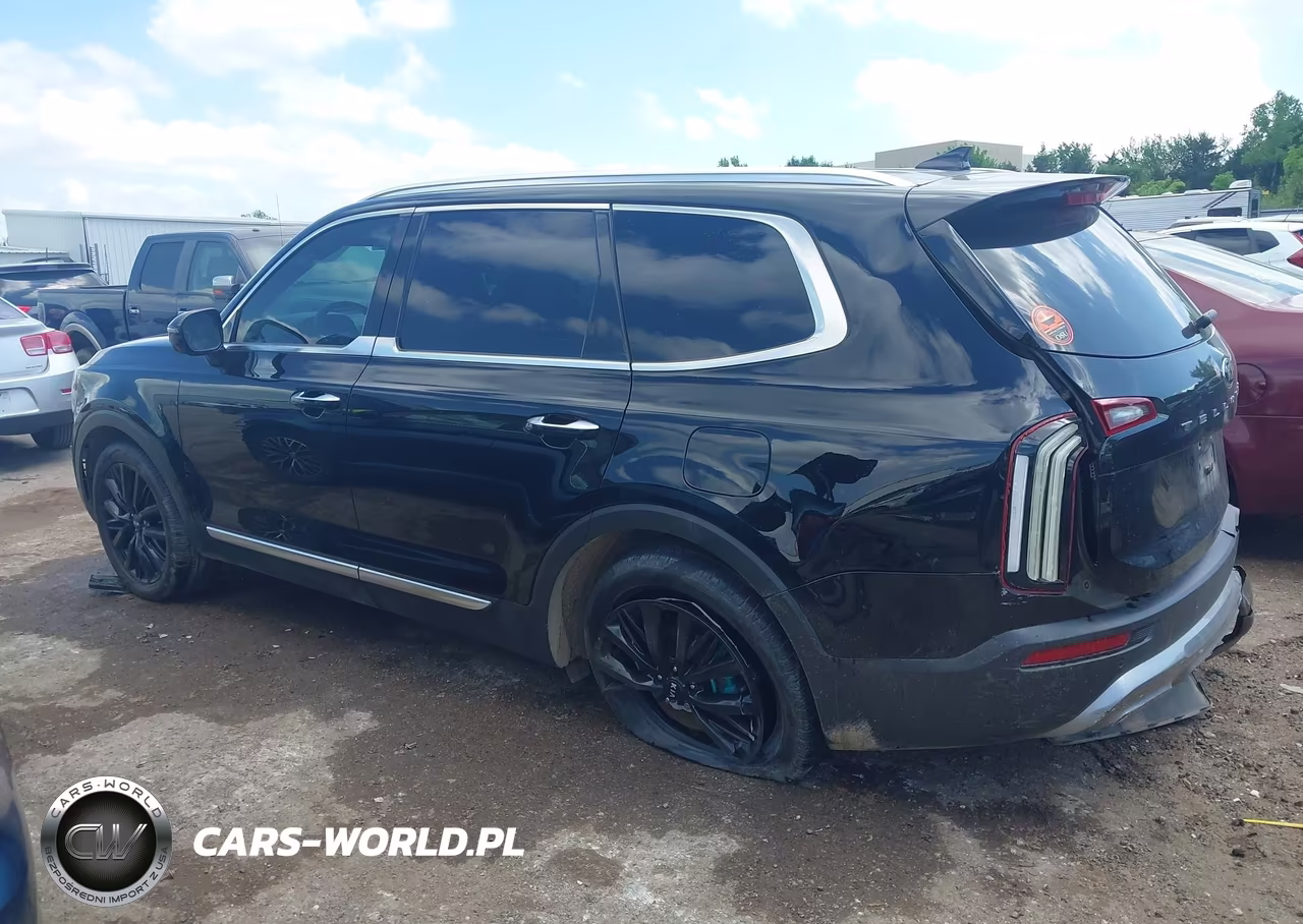2020 Kia Telluride Sx VIN:5XYP54HC3LG033143 - 14
