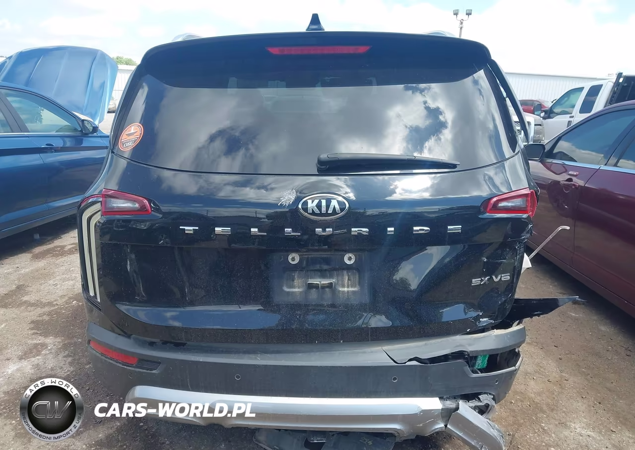 2020 Kia Telluride Sx VIN:5XYP54HC3LG033143 - 16