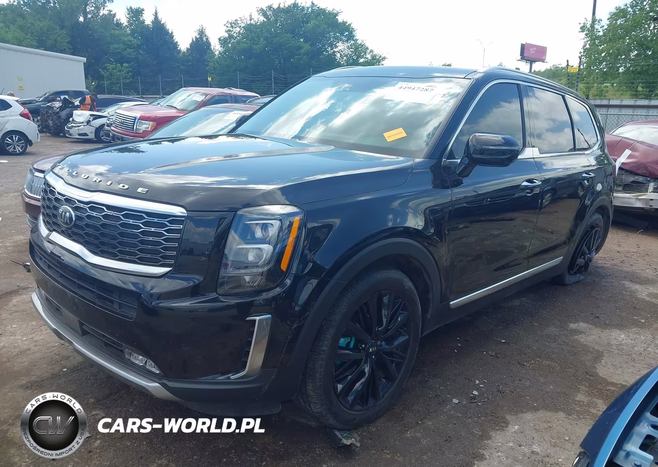 2020 Kia Telluride Sx VIN:5XYP54HC3LG033143 - 2