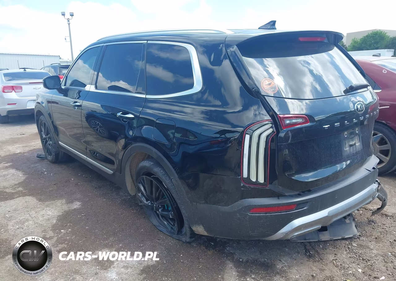 2020 Kia Telluride Sx VIN:5XYP54HC3LG033143 - 3