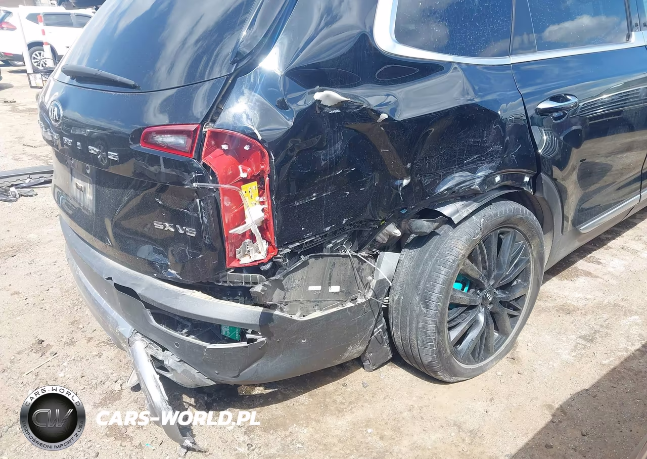 2020 Kia Telluride Sx VIN:5XYP54HC3LG033143 - 6