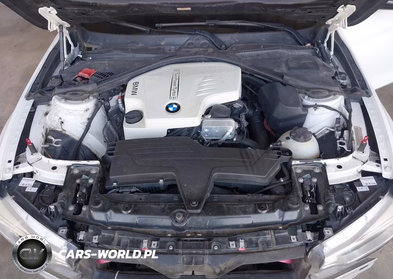2014 BMW 428I VIN:WBA3N7C57EK220338 - 10