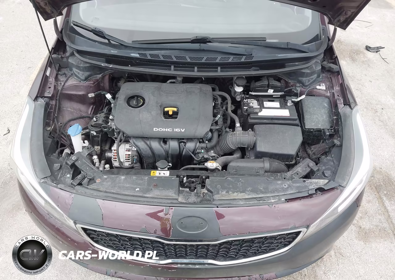 2018 Kia Forte Lx VIN:3KPFL4A76JE201804 - 10