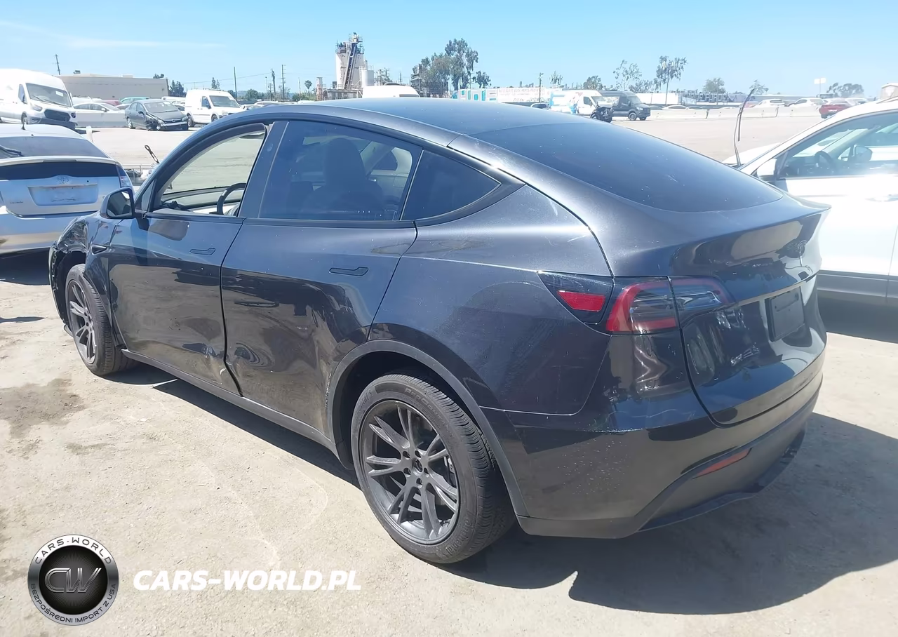 2025 Tesla Model Y Long Range Dual Motor Rear-Wheel Drive VIN:7SAYGDED0SF316099 - 3