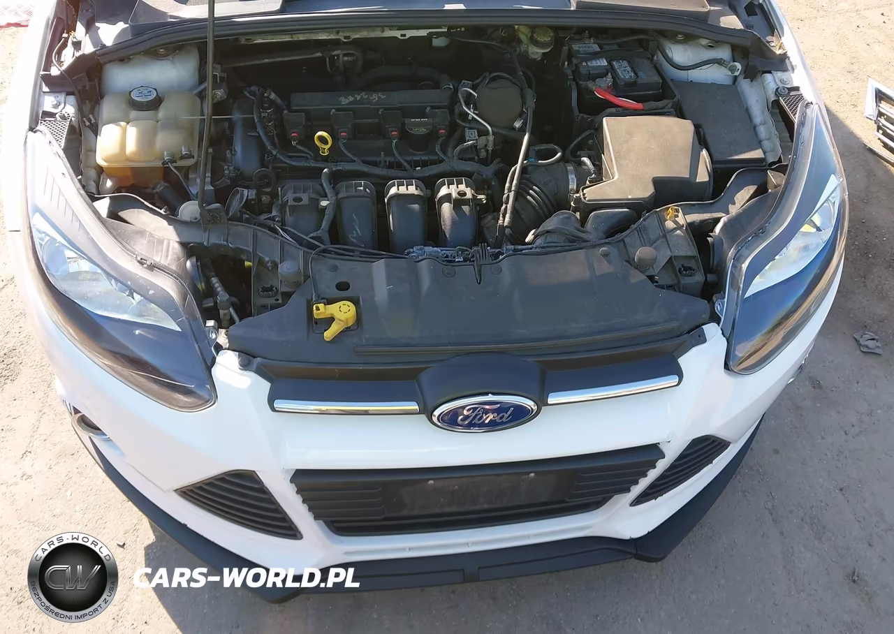 2013 Ford Focus Se VIN:1FADP3K22DL360118 - 10