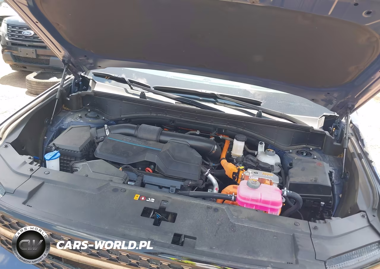 2025 Hyundai Santa Fe Hybrid Calligraphy VIN:5NMP54G14SH050134 - 10