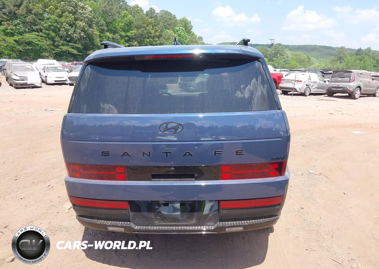 2025 Hyundai Santa Fe Hybrid Calligraphy VIN:5NMP54G14SH050134 - 16