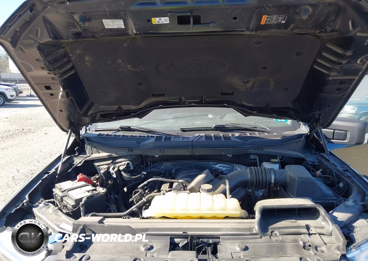 2023 Ford F-150 Xlt VIN:1FTFW1E53PKF40735 - 10