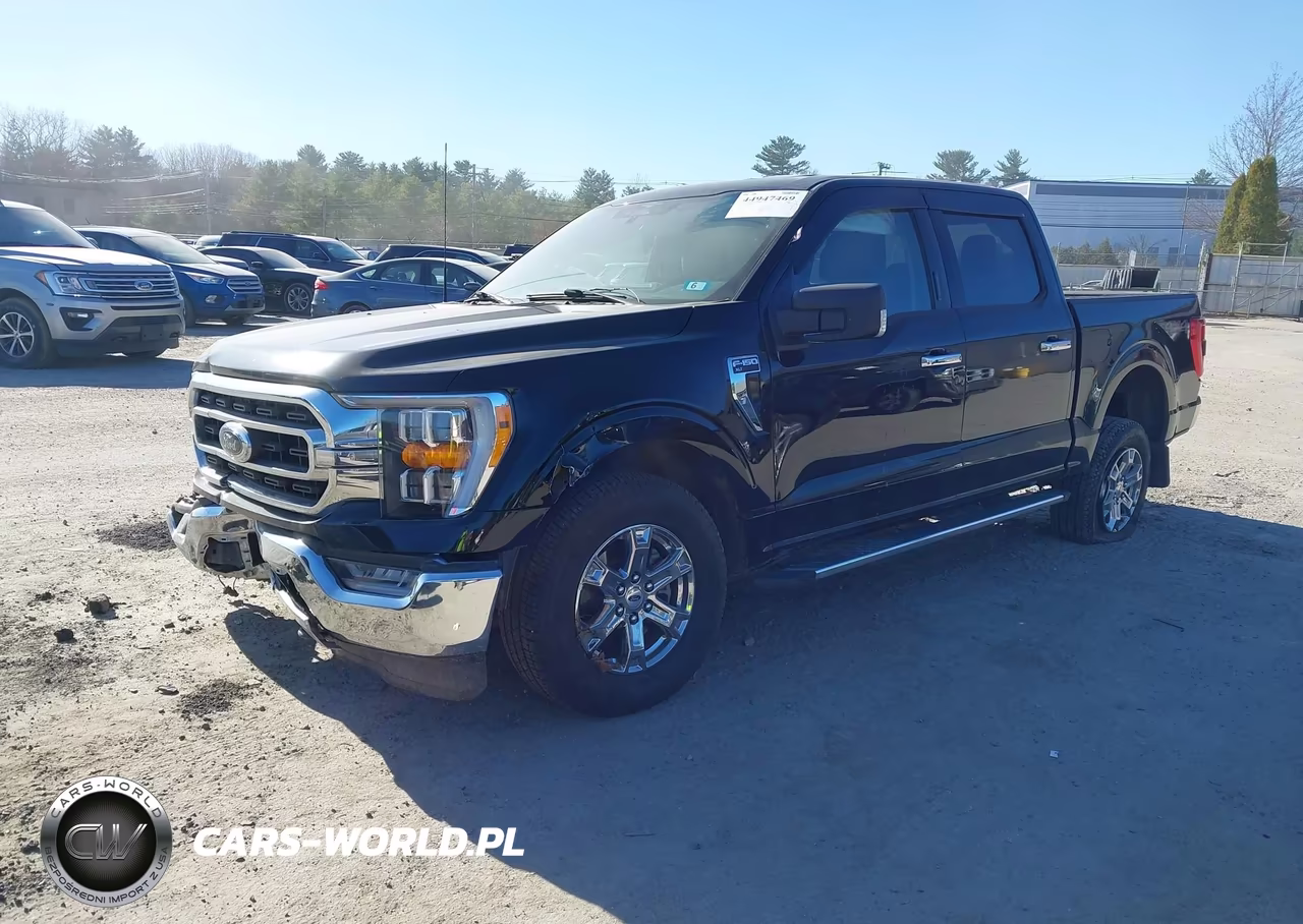 2023 Ford F-150 Xlt VIN:1FTFW1E53PKF40735 - 2