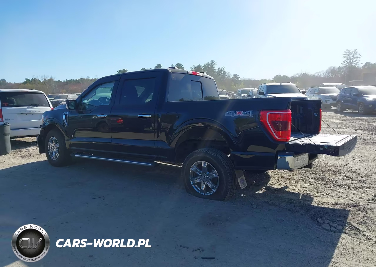 2023 Ford F-150 Xlt VIN:1FTFW1E53PKF40735 - 3