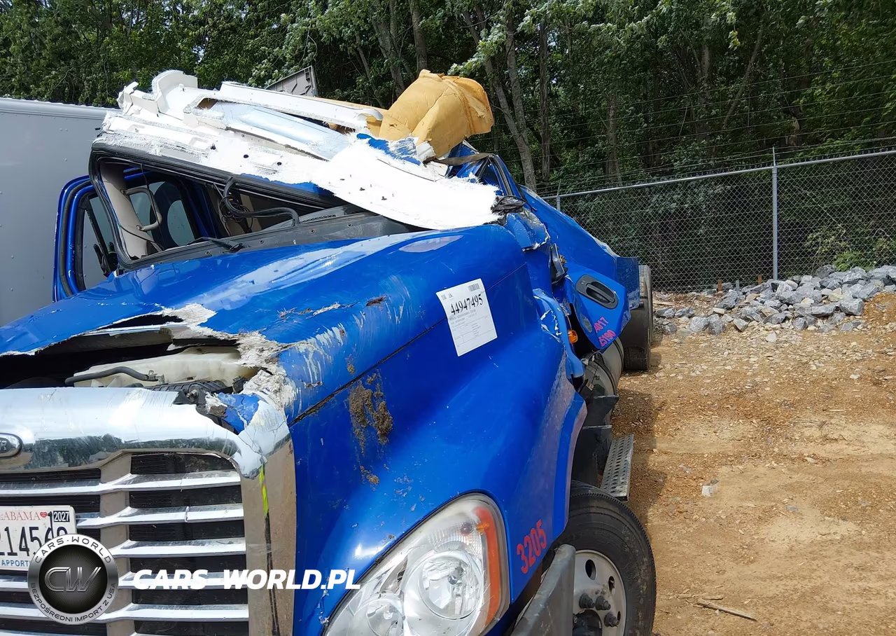 2020 Freightliner Cascadia 125 VIN:3AKJGLDR3LDLG3029 - 17