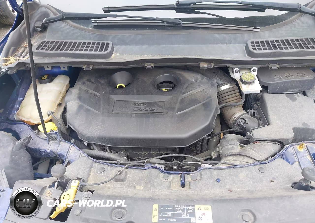 2016 Ford Escape Se VIN:1FMCU9G96GUC52439 - 10
