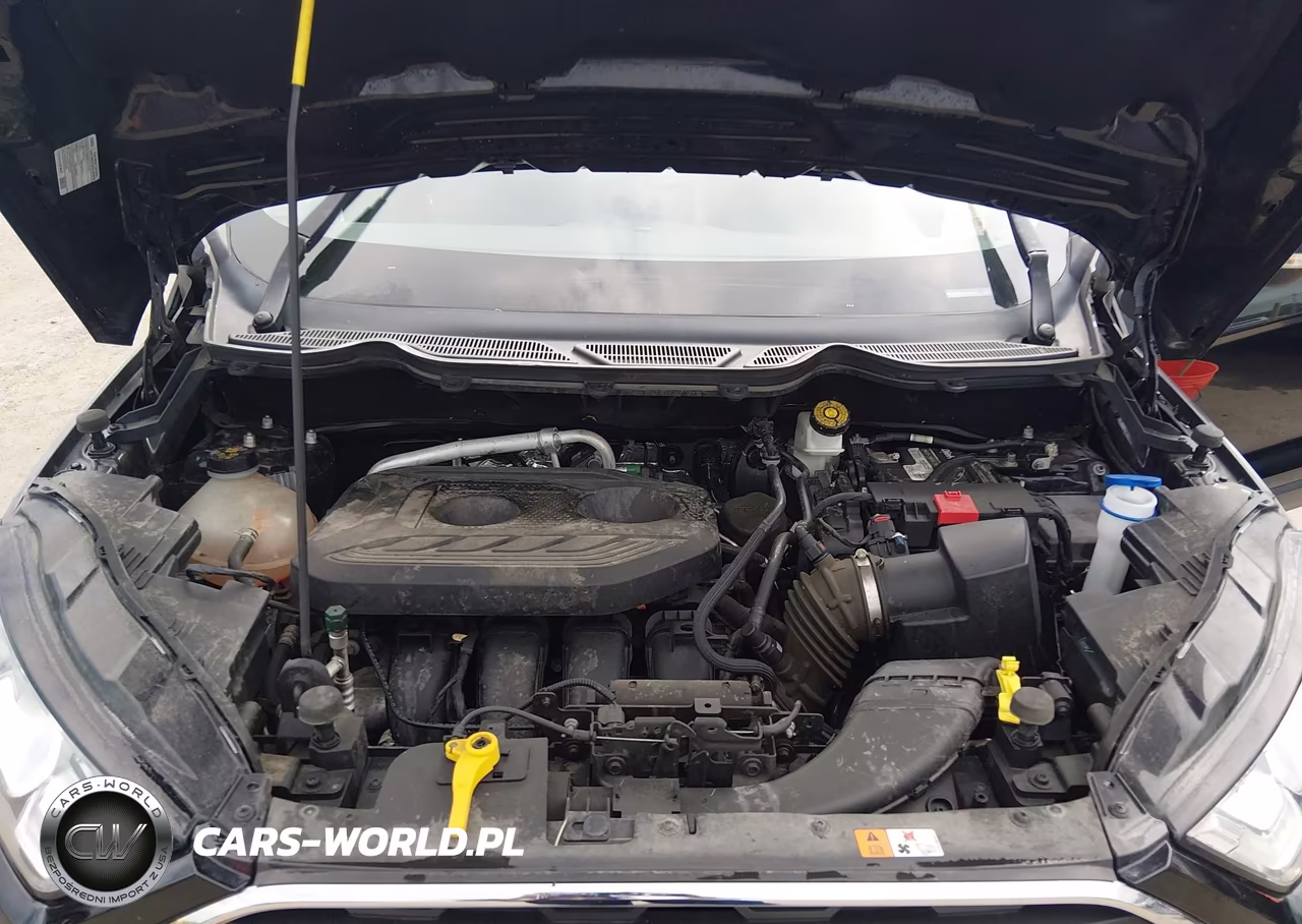 2019 Ford Ecosport Titanium VIN:MAJ6S3KL4KC254377 - 10