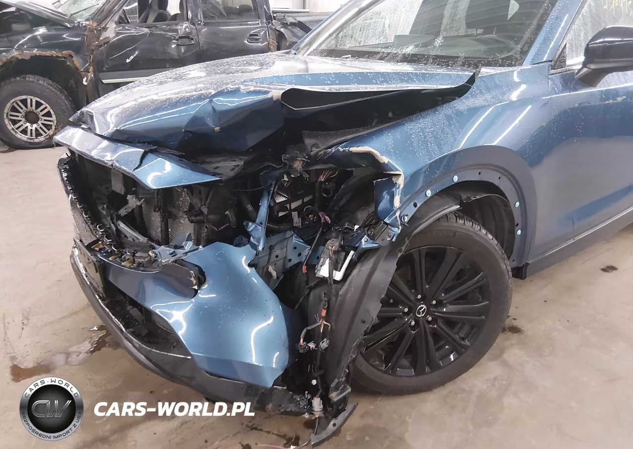 2023 Mazda Cx-5 2.5 Turbo VIN:JM3KFBAY9P0121294 - 6