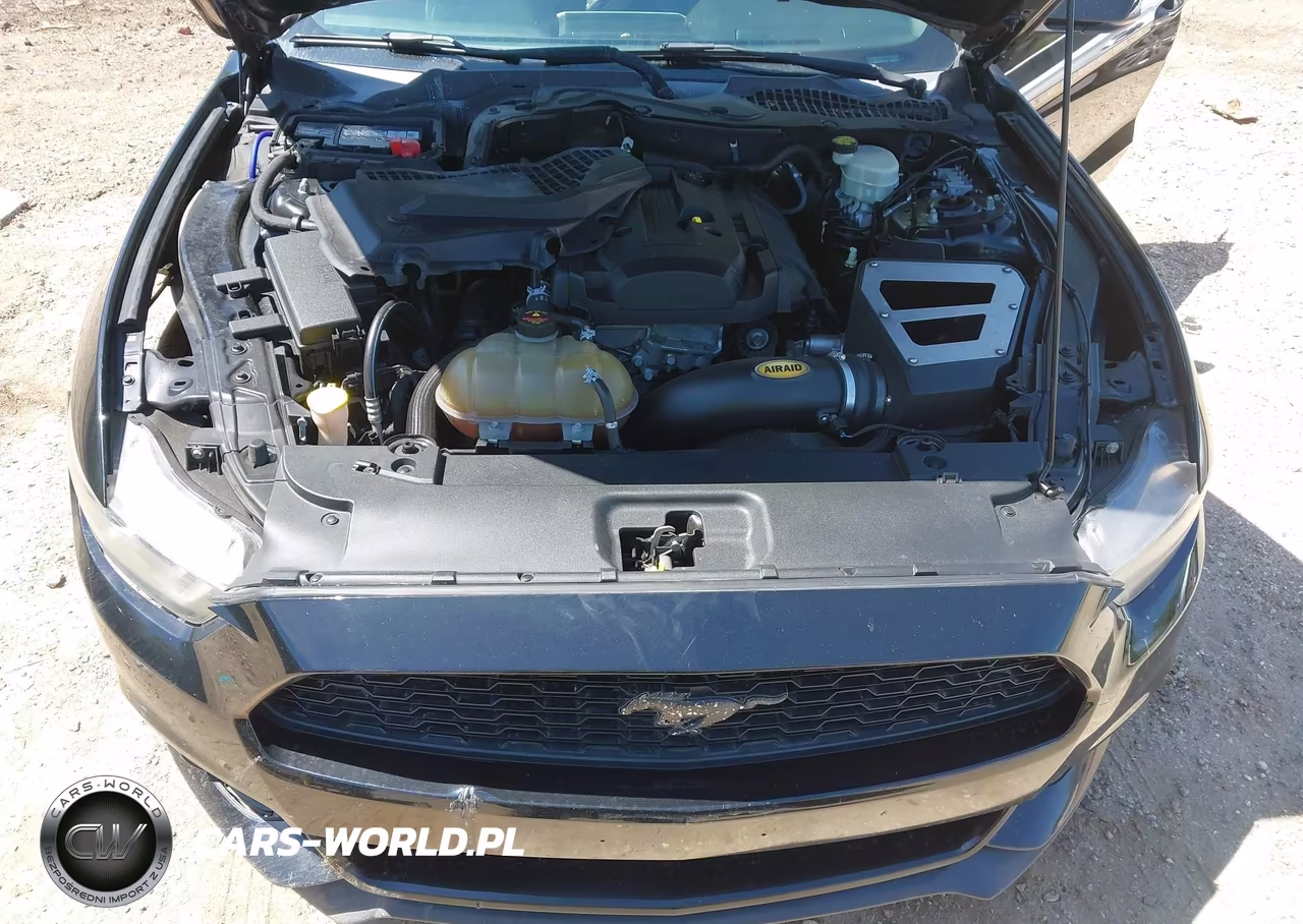 2016 Ford Mustang Ecoboost VIN:1FA6P8TH0G5222059 - 10