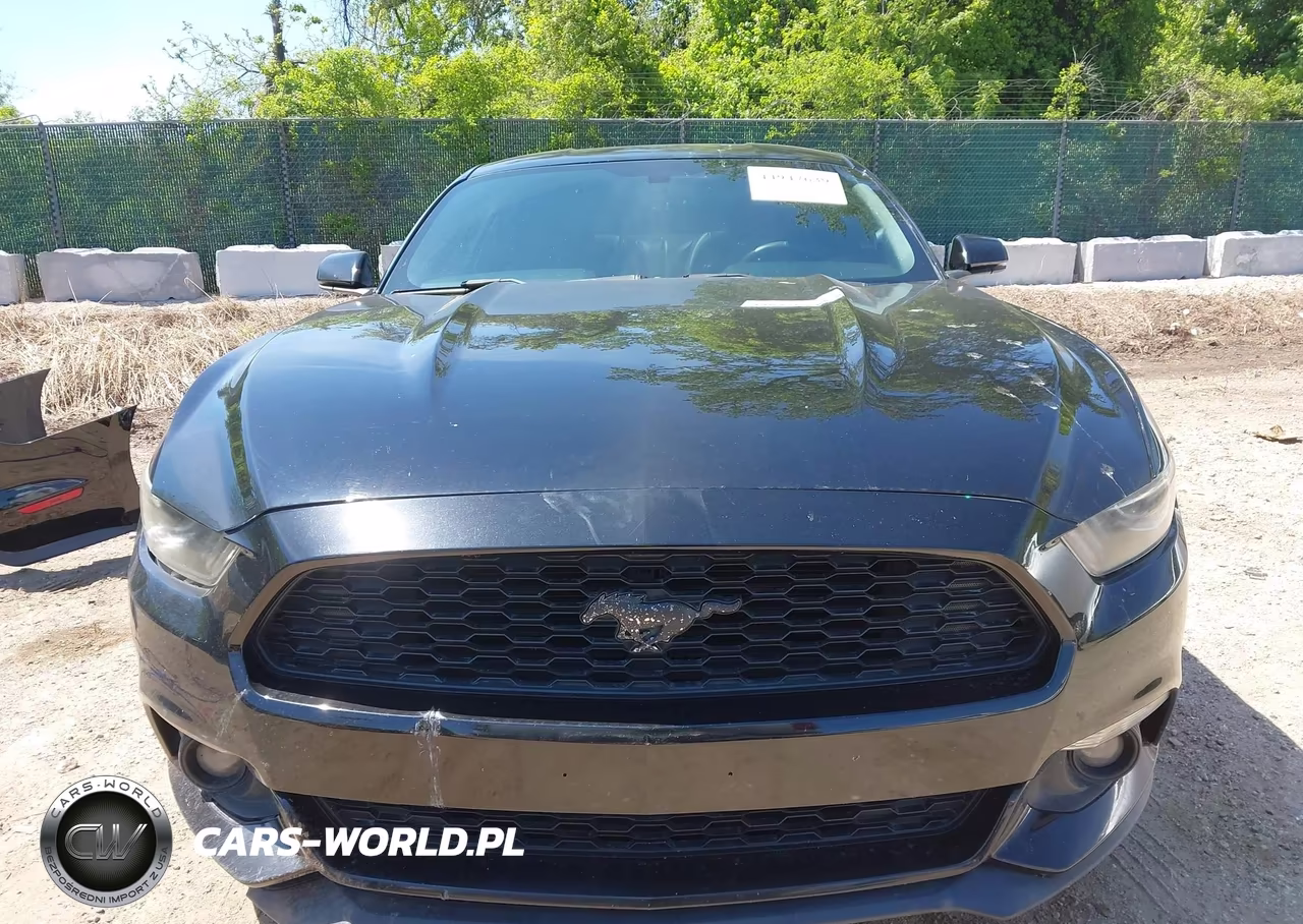 2016 Ford Mustang Ecoboost VIN:1FA6P8TH0G5222059 - 13