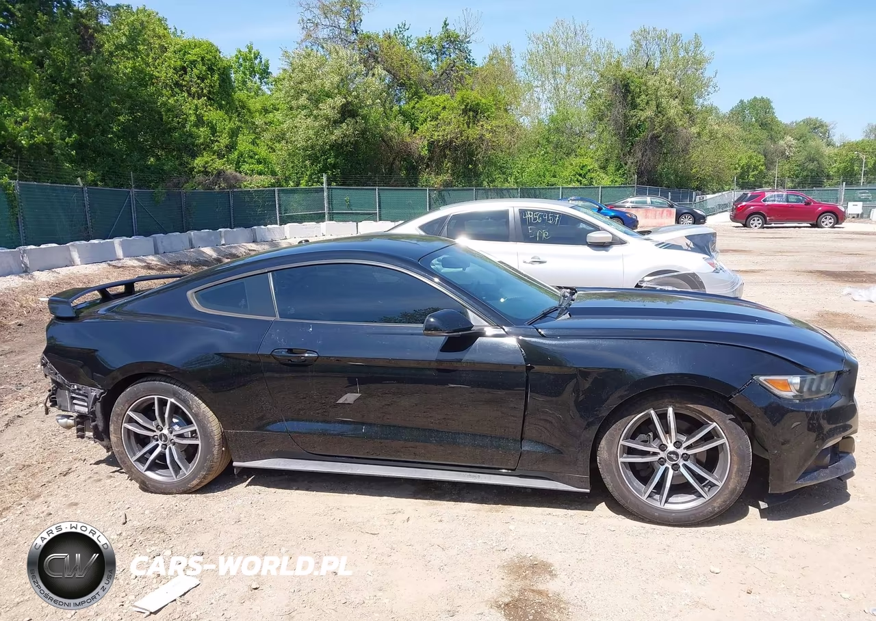 2016 Ford Mustang Ecoboost VIN:1FA6P8TH0G5222059 - 14