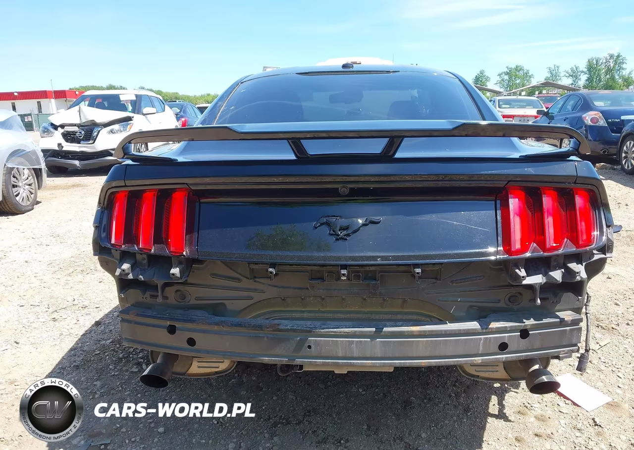 2016 Ford Mustang Ecoboost VIN:1FA6P8TH0G5222059 - 17