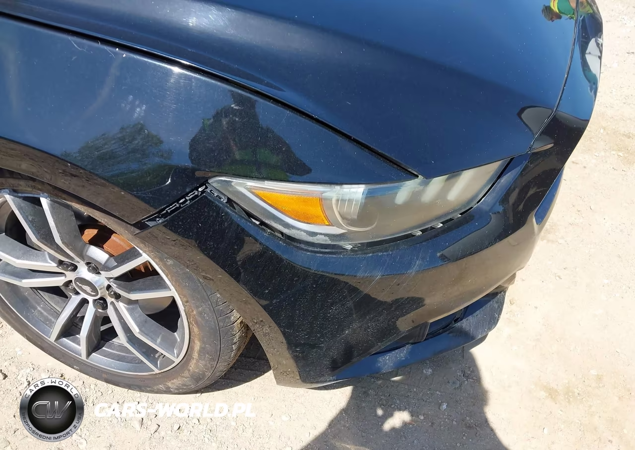 2016 Ford Mustang Ecoboost VIN:1FA6P8TH0G5222059 - 18
