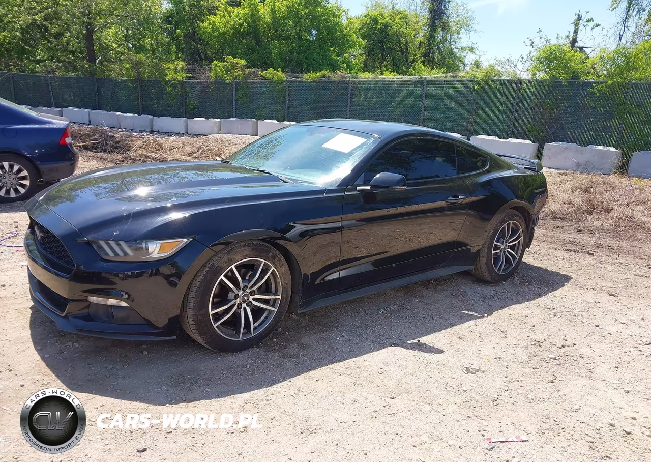2016 Ford Mustang Ecoboost VIN:1FA6P8TH0G5222059 - 2