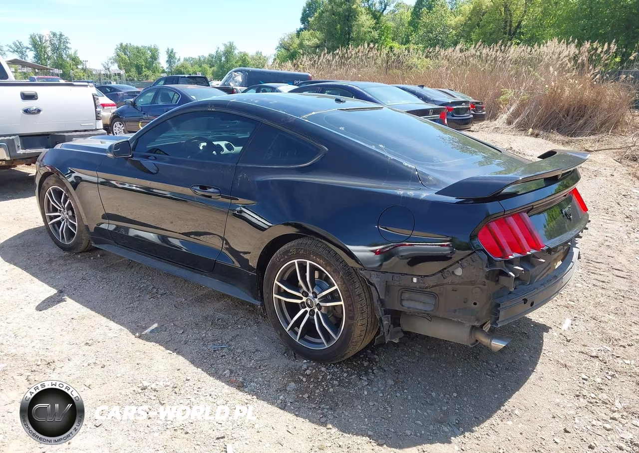 2016 Ford Mustang Ecoboost VIN:1FA6P8TH0G5222059 - 3
