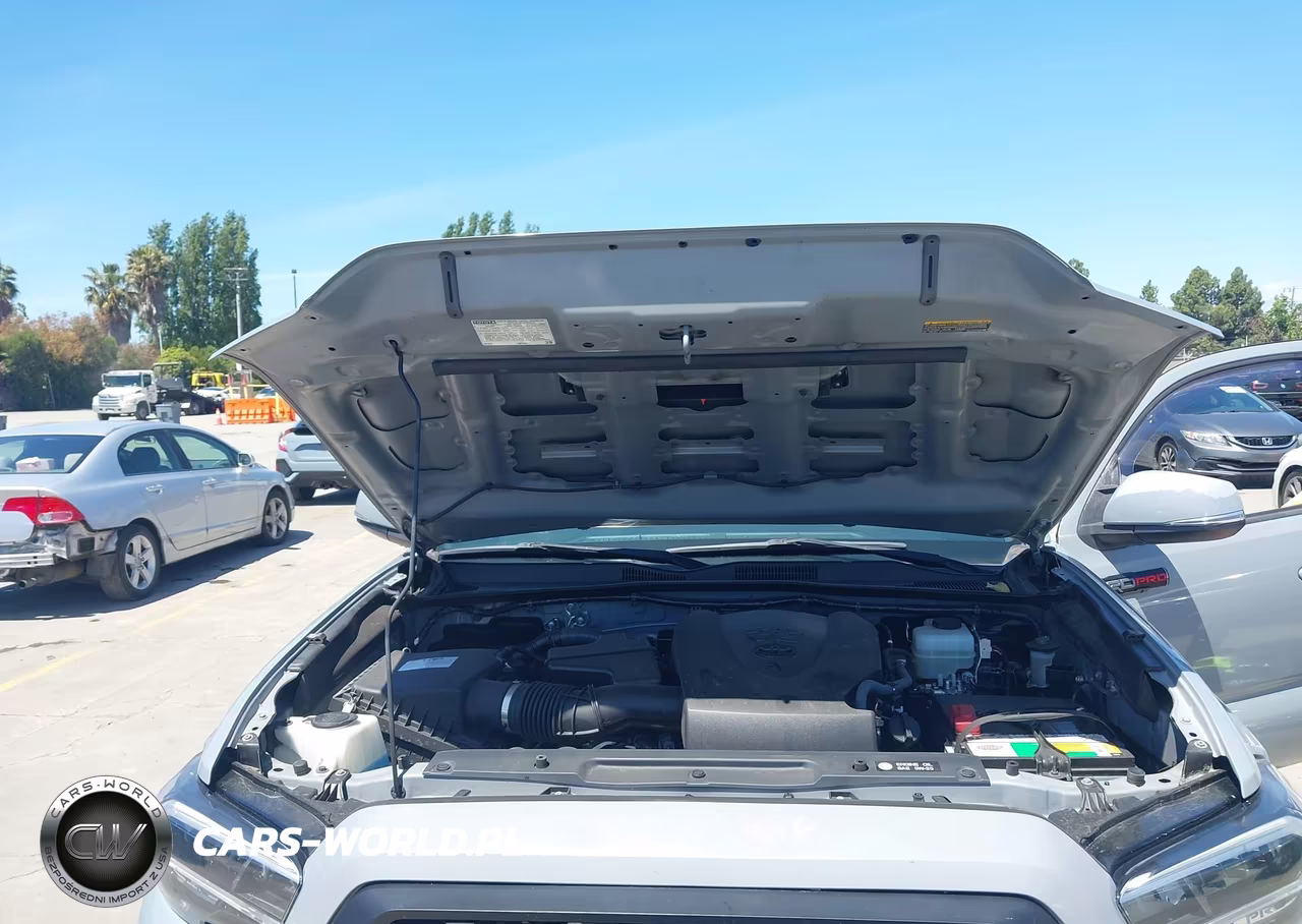 2017 Toyota Tacoma Trd Pro VIN:5TFCZ5AN7HX051895 - 10